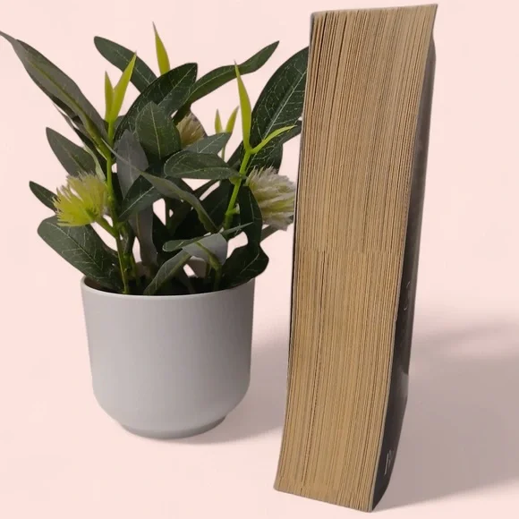 The Fine Print Contemporary Romance Paperback Fiction Novel Lauren Asher - Picture 4 of 5